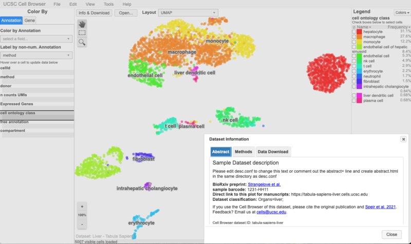 File:CbImportScanpy first export display.png